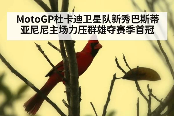 MotoGP杜卡迪卫星队新秀巴斯蒂亚尼尼主场力压群雄夺赛季首冠