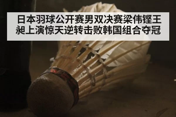 日本羽球公开赛男双决赛梁伟铿王昶上演惊天逆转击败韩国组合夺冠