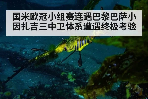 国米欧冠小组赛连遇巴黎巴萨小因扎吉三中卫体系遭遇终极考验